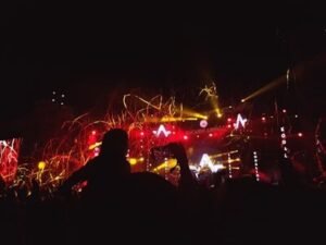 people watching fireworks display during nighttime