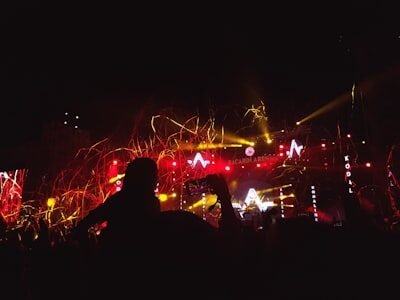 people watching fireworks display during nighttime