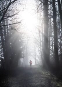 a person walking down a trail in the woods