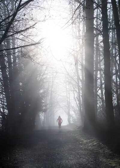 a person walking down a trail in the woods
